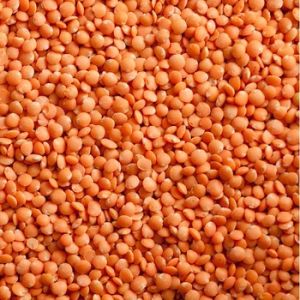 Red Whole Lentils