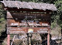 Jigme Dorji National Park Tour Service