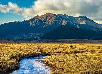 Phobjikha Valley Tour Service