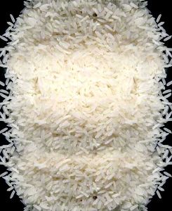 Kataribhog Rice