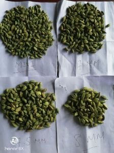 Green Cardamom