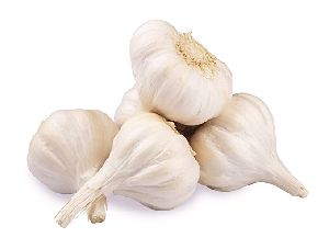 fresh garlic