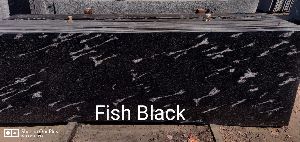 Fish Black