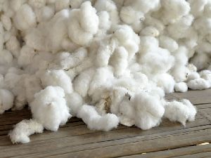 Cotton