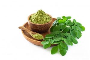 Herbal Moringa Leaves Powder