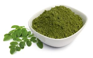 natural moringa leaves powder