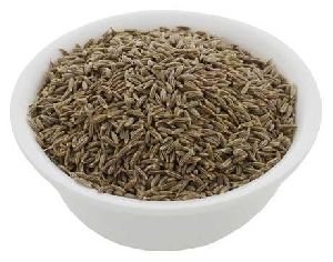 cumin seed