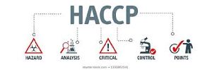 HACCP Certification Services in  Delhi .