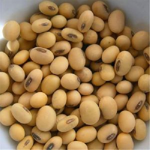 soyabean