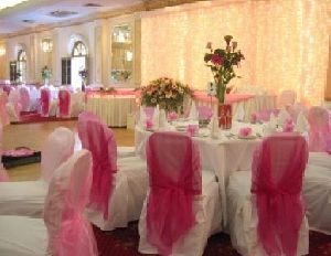 Plain Chair Cover