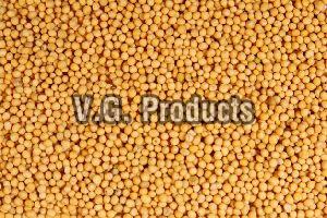 Oil Seeds Supplier Sesame Seeds Manufacturers Mustard Seeds Retailers