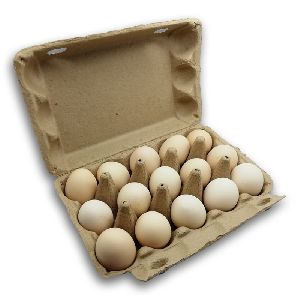 Egg Packaging Paper Box
