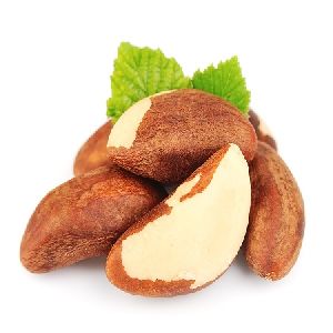 100% Premium Quality Brazil Nut