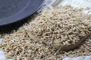 A Grade Top Quality Hulled Oats/ Oats Grains