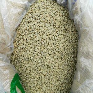 Premium Unroasted Arabica Coffee From Malaysia
