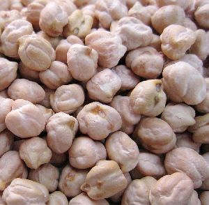 Chickpeas Natural Wholesale Organic Top Quality