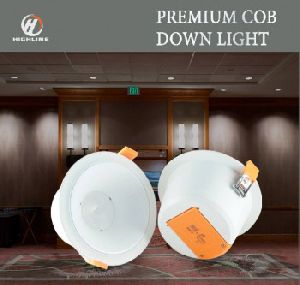 Premium COB Down Light