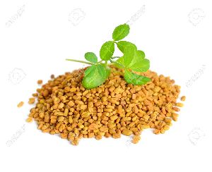 fenugreek seeds