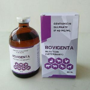 Gentamicin Sulphate 40 mg / 2 ML