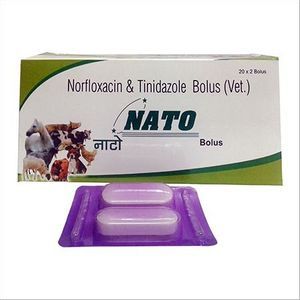Norfloxacin 1200 mg + Tinidazole 1800 mg. bolus