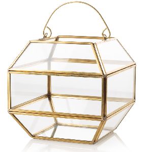 Basket Shape Geometric Terrarium