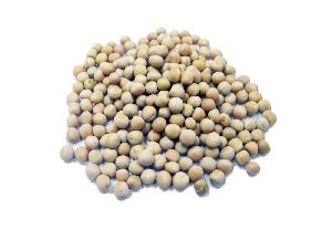 Dry White Peas