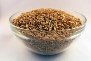 Organic Khapli Wheat
