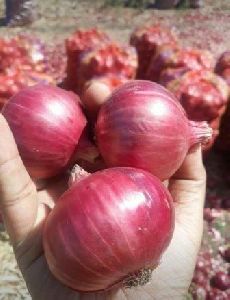 Nasik Red Onion