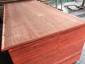 Shipping Container Flooring Plywood 28mm Sealed Edges WBP Melamine 100% Eucalyptus Core