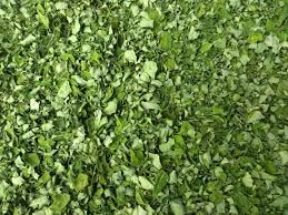 Organic Moringa dried Leaves