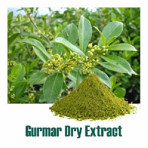 Gurmar Dry Extract