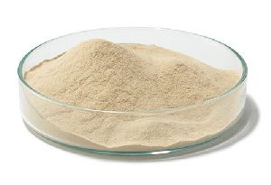 Nutrient Agar Powder