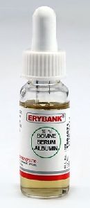 Erybank Bovine Serum Albumin
