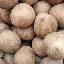 Organic Coconut Ball Copra, Shelf Life : 1month