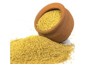 foxtail millets