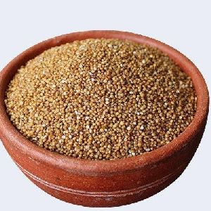 kodo millets