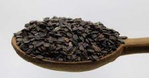 Mahabeera Seeds