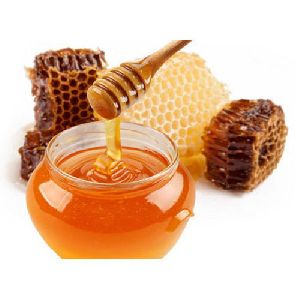 Raw wild forest honey