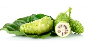 Noni Powder