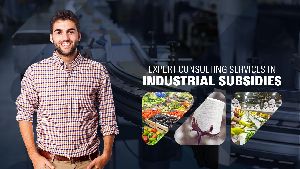 Industrial Subsidies Consultation Service