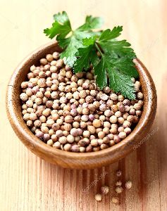 coriander seeds