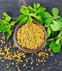 Fenugreek