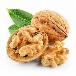 walnut