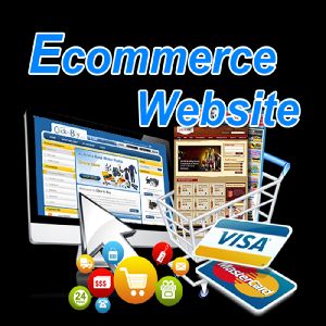E-Commerce Website Design, Ecommerce Design &amp;amp; Development