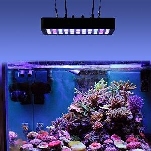 LED Marine Aquarium