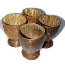Coconut Shell Cups