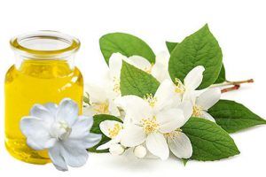 jasmine oil