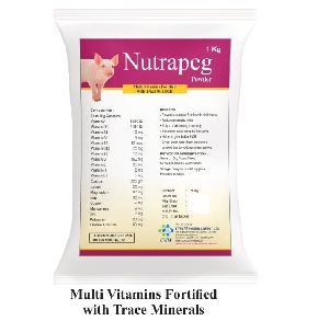 Nutrapeg Multivitamin Powder