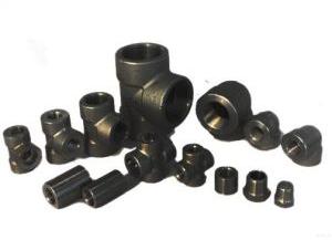 Carbon Steel Forged Fittings