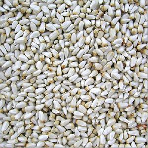 Indian Safflower Seeds